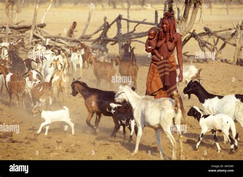 give a goat in africa|Our Story Video .